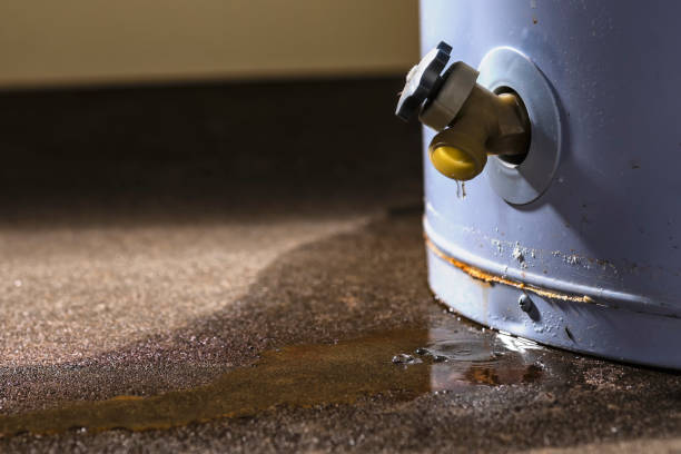Best 24/7 water damage repair  in Pine Bush, NY