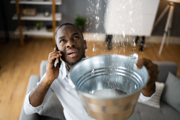 Best Basement water damage restoration  in Pine Bush, NY