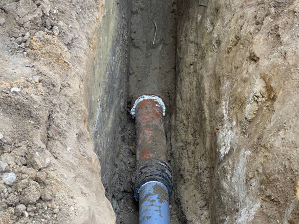 Best Professional water damage repair  in Pine Bush, NY