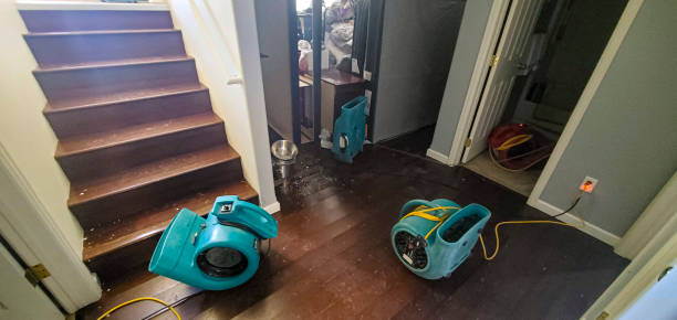 Best Water damage restoration specialists  in Pine Bush, NY
