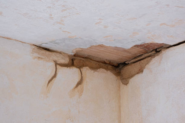 Best Carpet water damage restoration  in Pine Bush, NY