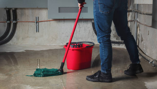 Best Mold removal after water damage  in Pine Bush, NY