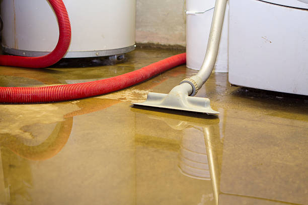 Best Local water damage restoration  in Pine Bush, NY