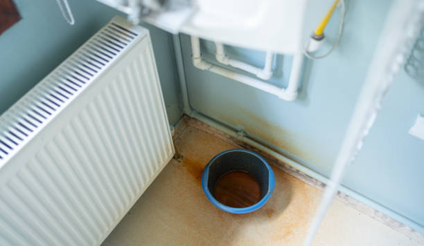 Best Flood restoration services  in Pine Bush, NY