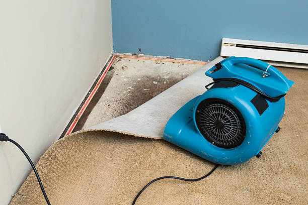 Reliable NY Water damage restoration Solutions