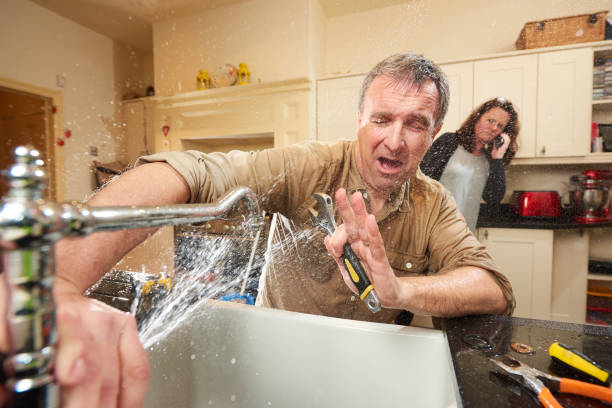 Best Water damage restoration near me  in Pine Bush, NY